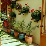 Kruja 3* 地拉那