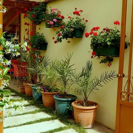 Kruja 3* Tirana